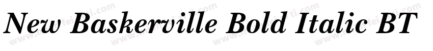 New Baskerville Bold Italic BT字体转换